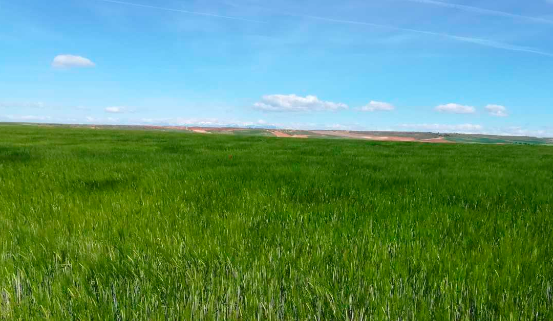 Ruta de los Descansaderos