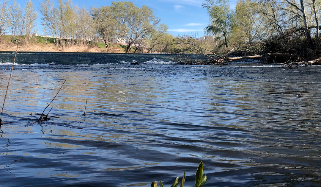 Ruta Corredor Ecofluvial del Henares