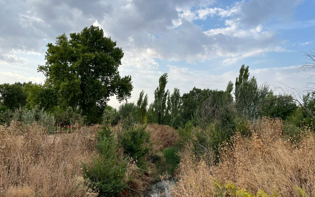 Paseo Gran Parque de los Espartales