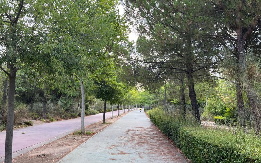 Paseo Parque del Camarmilla