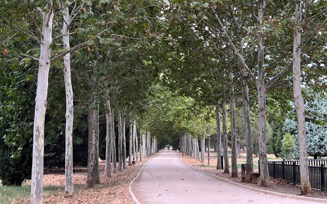 Paseo Arboreto Dehesa del Batán